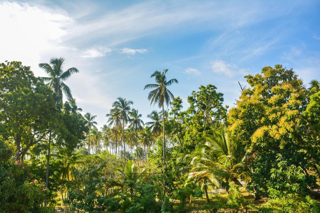 Janu Homestay Tangalle Eksteriør billede
